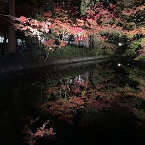 Meet your Posher, Danny